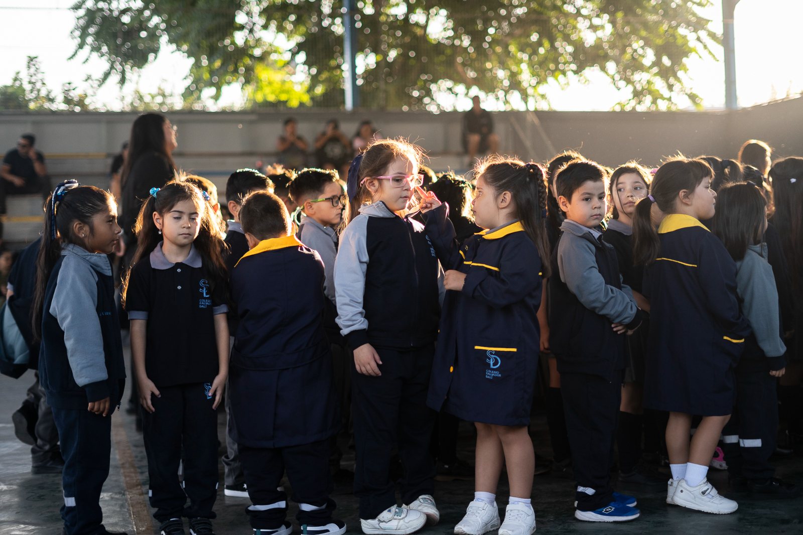 Colegio Salvador Dalí — Customer Story